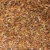 Freeze Dried Gammarus Shrimp (50/100/200/500/1000g)