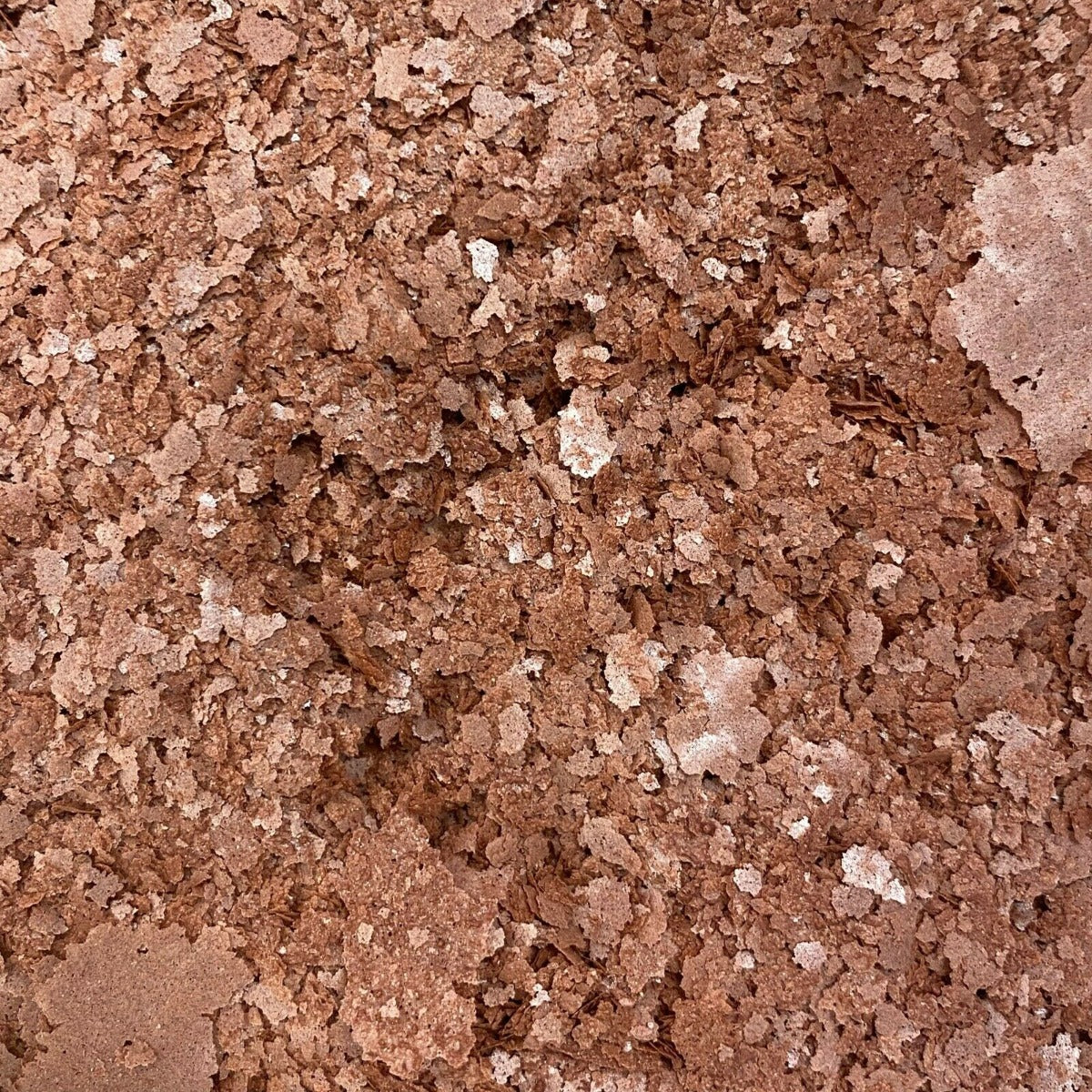 Garlic Flake Food (100/200/500/1000g)